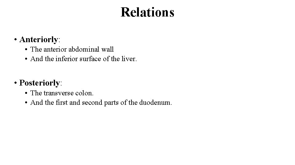 Relations • Anteriorly: • The anterior abdominal wall • And the inferior surface of