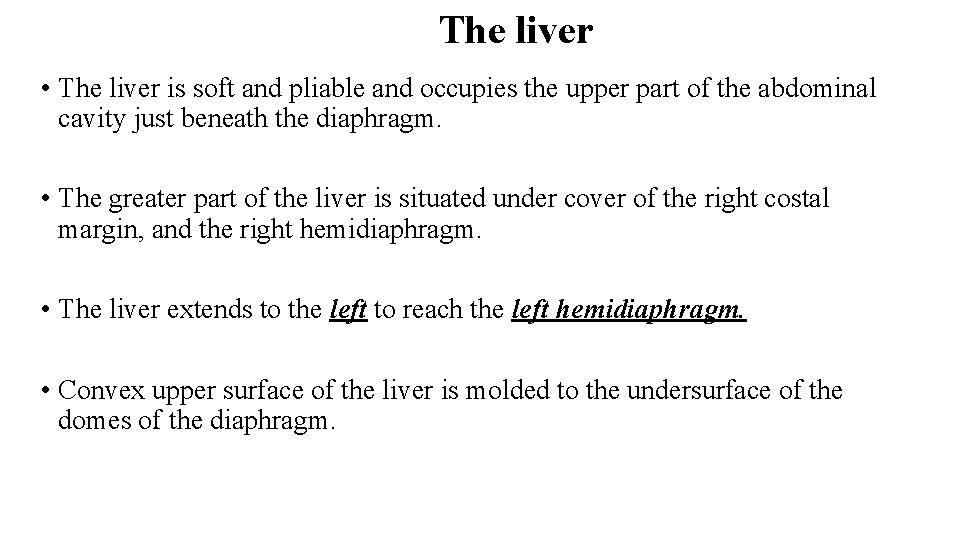 The liver • The liver is soft and pliable and occupies the upper part
