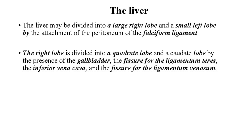 The liver • The liver may be divided into a large right lobe and