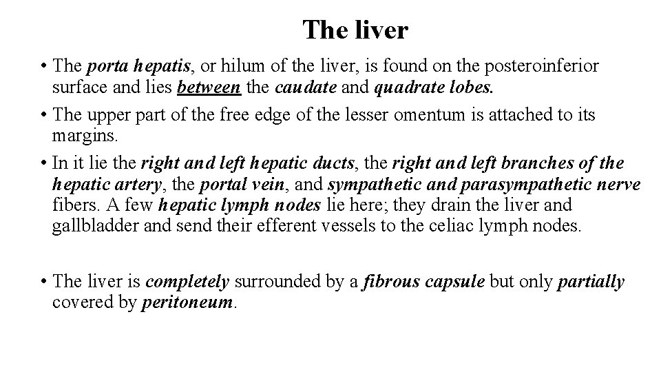 The liver • The porta hepatis, or hilum of the liver, is found on