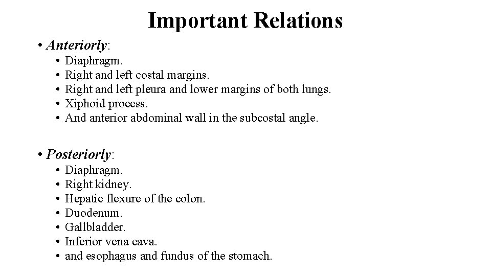 Important Relations • Anteriorly: • • • Diaphragm. Right and left costal margins. Right