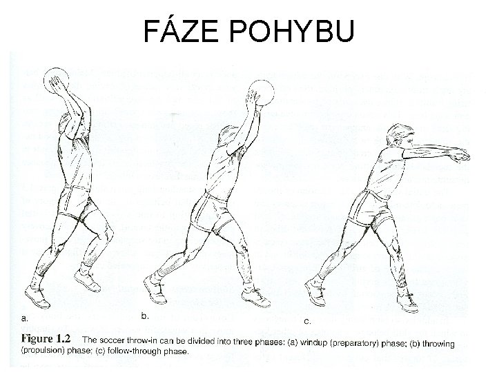 FÁZE POHYBU 