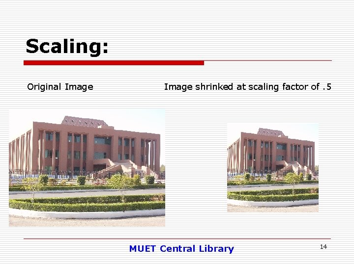 Scaling: Original Image shrinked at scaling factor of. 5 MUET Central Library 14 