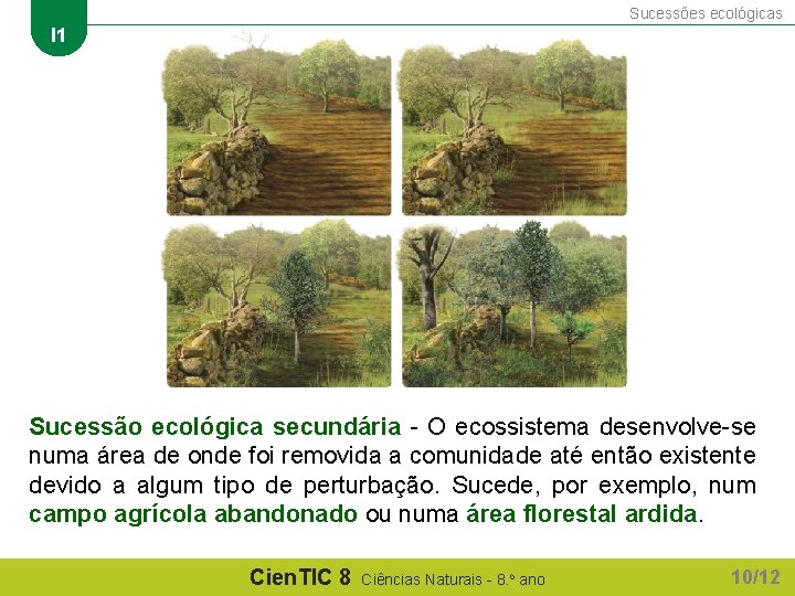 Sucessões ecológicas I 1 Sucessão ecológica secundária - O ecossistema desenvolve-se numa área de