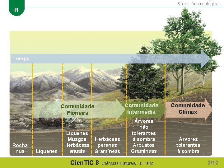 Sucessões ecológicas I 1 Tempo Comunidade Intermédia Comunidade Pioneira Rocha nua Líquenes Musgos Herbáceas