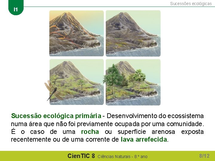 Sucessões ecológicas I 1 Sucessão ecológica primária - Desenvolvimento do ecossistema numa área que