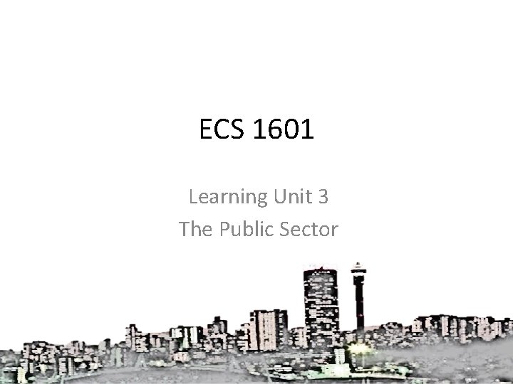 ECS 1601 Learning Unit 3 The Public Sector 