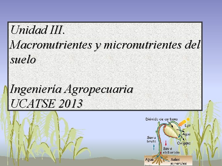 Unidad III. Macronutrientes y micronutrientes del suelo Ingeniería Agropecuaria UCATSE 2013 Unidad III. Macronutrientes y micronutrientes del suelo Ingeniería Agropecuaria UCATSE 2013