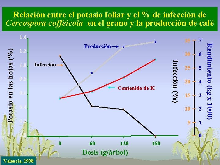 Relación entre el potasio foliar y el % de infección de Cercospora coffeicola en Relación entre el potasio foliar y el % de infección de Cercospora coffeicola en