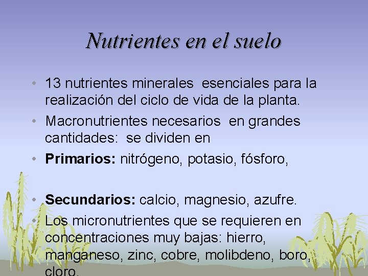 Unidad III Macronutrientes y micronutrientes del suelo Ingeniera