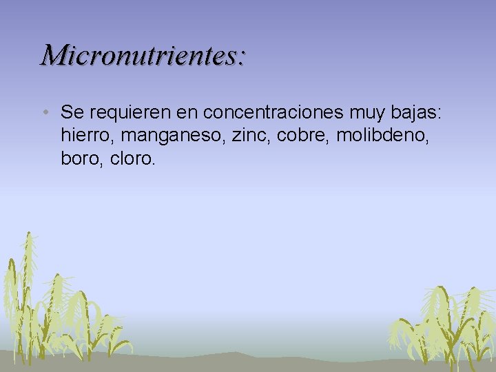 Micronutrientes: • Se requieren en concentraciones muy bajas: hierro, manganeso, zinc, cobre, molibdeno, boro, Micronutrientes: • Se requieren en concentraciones muy bajas: hierro, manganeso, zinc, cobre, molibdeno, boro,