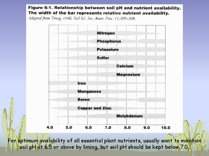 For optimum availability of all essential plant nutrients, usually want to maintain soil p. For optimum availability of all essential plant nutrients, usually want to maintain soil p.