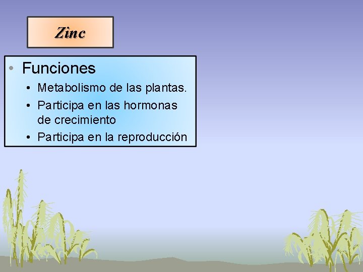 Zinc • Funciones • Metabolismo de las plantas. • Participa en las hormonas de Zinc • Funciones • Metabolismo de las plantas. • Participa en las hormonas de