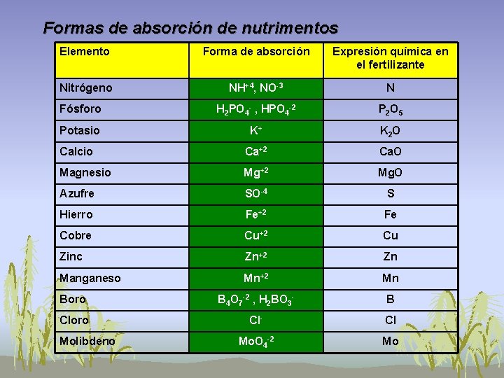 Formas de absorción de nutrimentos Elemento Forma de absorción Expresión química en el fertilizante Formas de absorción de nutrimentos Elemento Forma de absorción Expresión química en el fertilizante