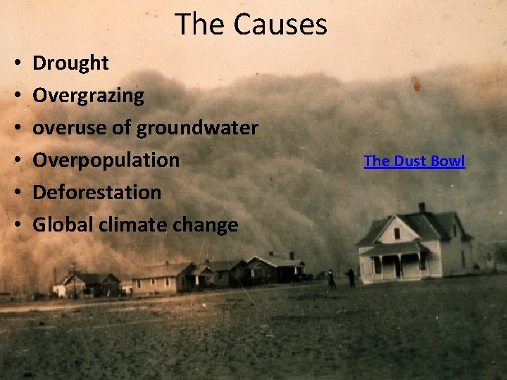 The Causes • • • Drought Overgrazing overuse of groundwater Overpopulation Deforestation Global climate