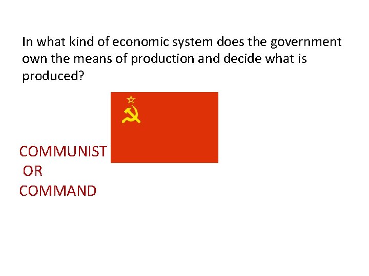 In what kind of economic system does the government own the means of production