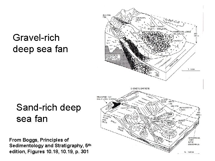 Gravel-rich deep sea fan Sand-rich deep sea fan From Boggs, Principles of Sedimentology and