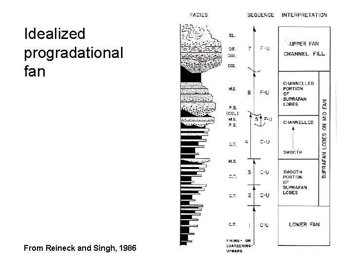 Idealized progradational fan From Reineck and Singh, 1986 