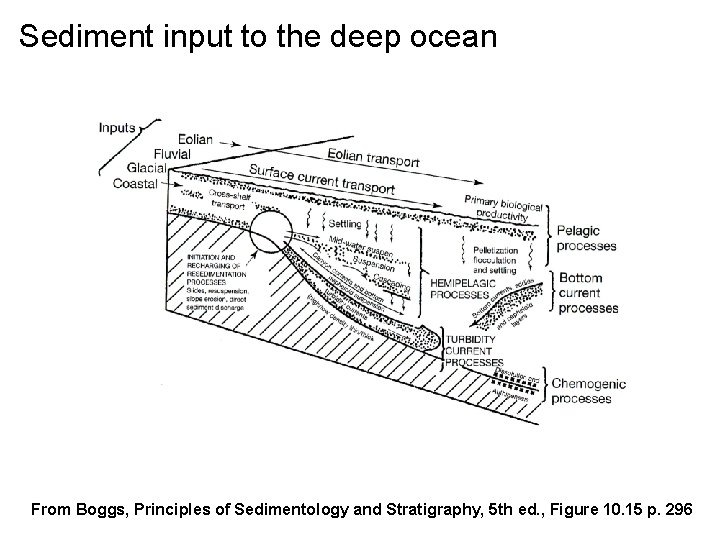 Sediment input to the deep ocean From Boggs, Principles of Sedimentology and Stratigraphy, 5