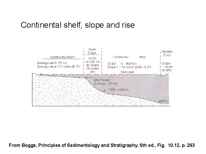 Continental shelf, slope and rise From Boggs, Principles of Sedimentology and Stratigraphy, 5 th