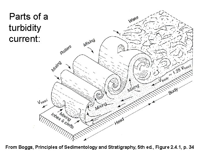 Parts of a turbidity current: From Boggs, Principles of Sedimentology and Stratigraphy, 5 th