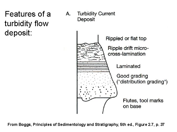 Features of a turbidity flow deposit: From Boggs, Principles of Sedimentology and Stratigraphy, 5