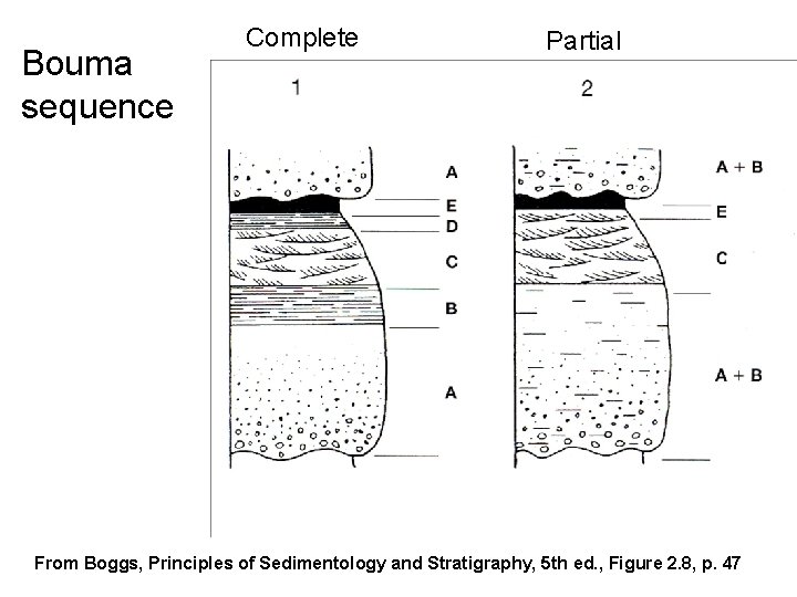 Bouma sequence Complete Partial From Boggs, Principles of Sedimentology and Stratigraphy, 5 th ed.