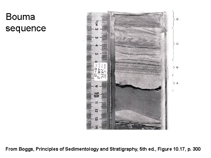 Bouma sequence From Boggs, Principles of Sedimentology and Stratigraphy, 5 th ed. , Figure