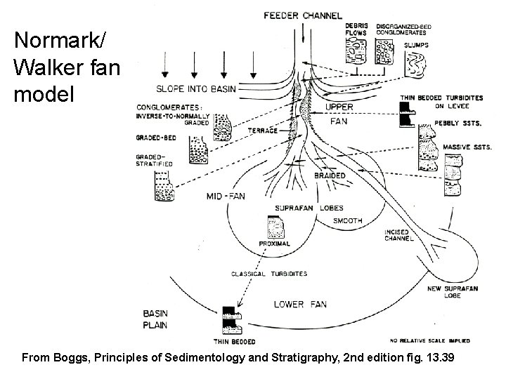 Normark/ Walker fan model From Boggs, Principles of Sedimentology and Stratigraphy, 2 nd edition