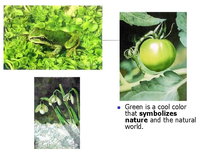 n Green is a cool color that symbolizes nature and the natural world. 