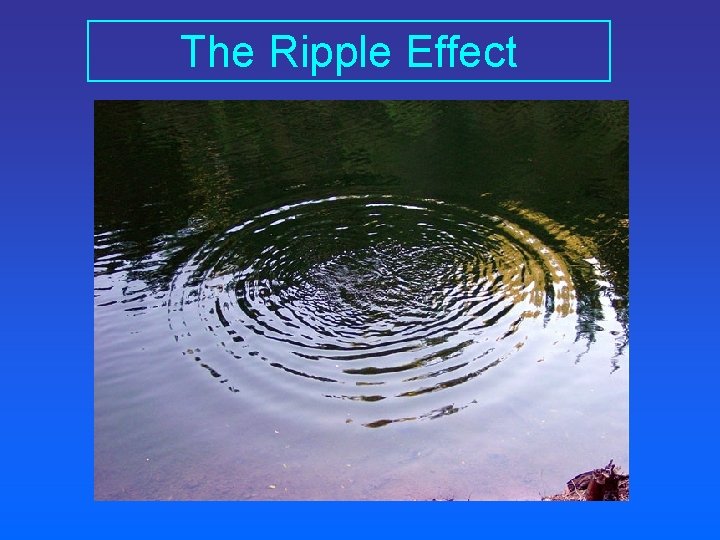 The Ripple Effect 