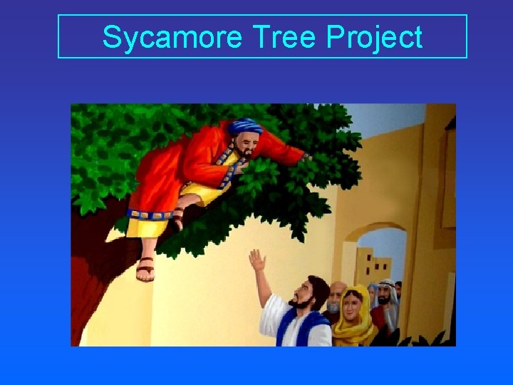 Sycamore Tree Project 