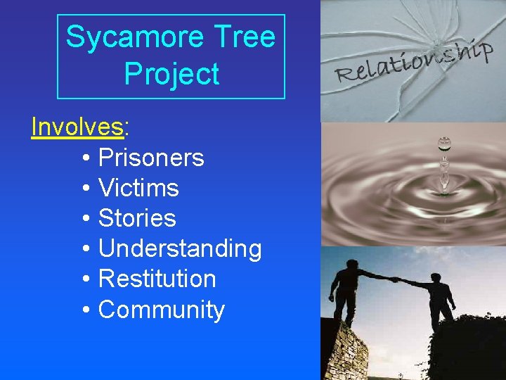 Sycamore Tree Project Involves: • Prisoners • Victims • Stories • Understanding • Restitution