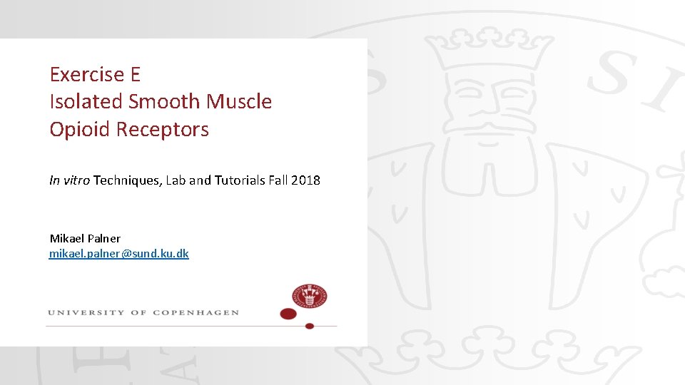 Exercise E Isolated Smooth Muscle Opioid Receptors In vitro Techniques, Lab and Tutorials Fall