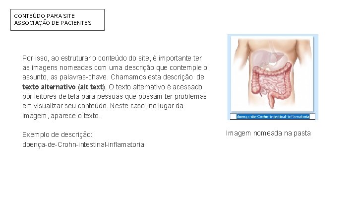 CONTEÚDO PARA SITE ASSOCIAÇÃO DE PACIENTES Por isso, ao estruturar o conteúdo do site,