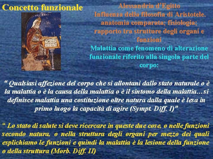 Concetto funzionale Alessandria d’Egitto Influenza della filosofia di Aristotele. anatomia comparata; fisiologia; rapporto tra