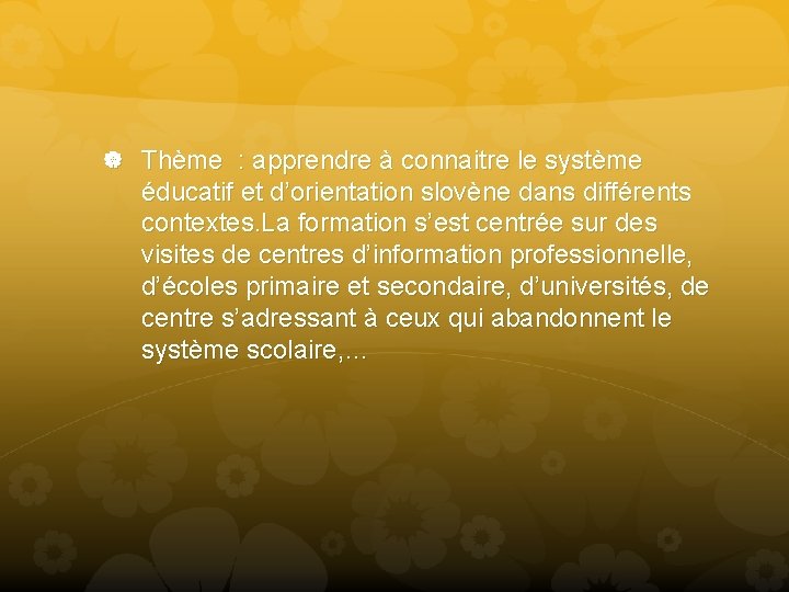  Thème : apprendre à connaitre le système éducatif et d’orientation slovène dans différents