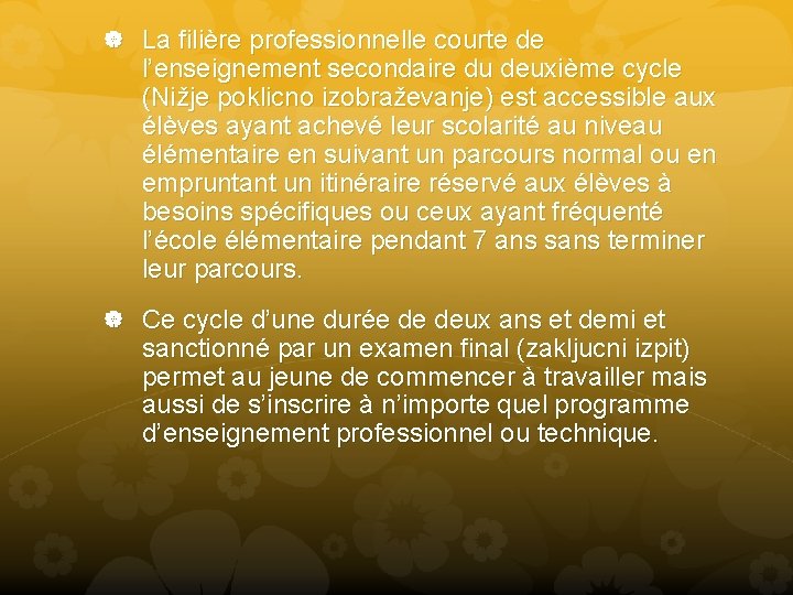  La filière professionnelle courte de l’enseignement secondaire du deuxième cycle (Nižje poklicno izobraževanje)