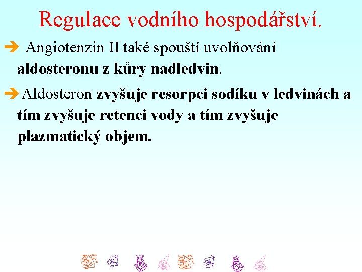 Regulace vodního hospodářství. è Angiotenzin II také spouští uvolňování aldosteronu z kůry nadledvin. èAldosteron