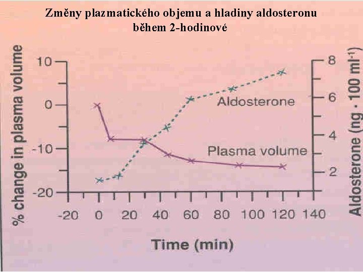 Změny plazmatického objemu a hladiny aldosteronu během 2 -hodinové 