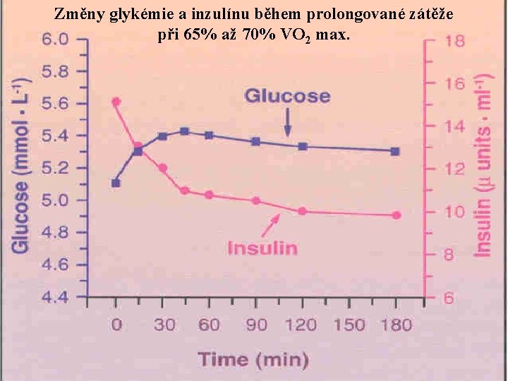 Změny glykémie a inzulínu během prolongované zátěže při 65% až 70% VO 2 max.