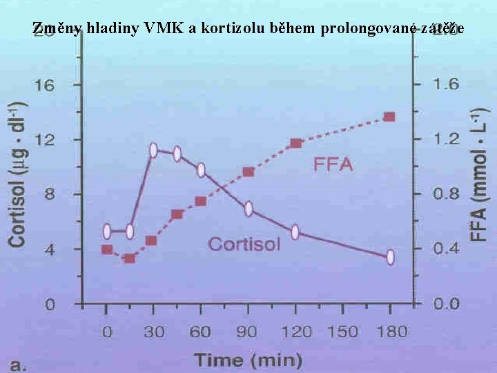 Změny hladiny VMK a kortizolu během prolongované zátěže 