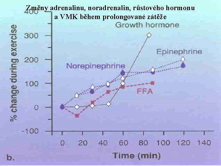 Změny adrenalinu, noradrenalin, růstového hormonu a VMK během prolongované zátěže 