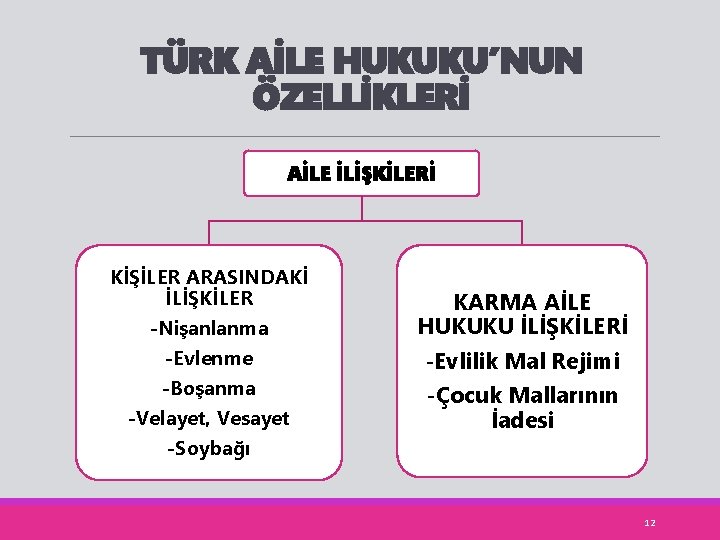 TÜRK AİLE HUKUKU’NUN ÖZELLİKLERİ AİLE İLİŞKİLERİ KİŞİLER ARASINDAKİ İLİŞKİLER -Nişanlanma -Evlenme -Boşanma -Velayet, Vesayet