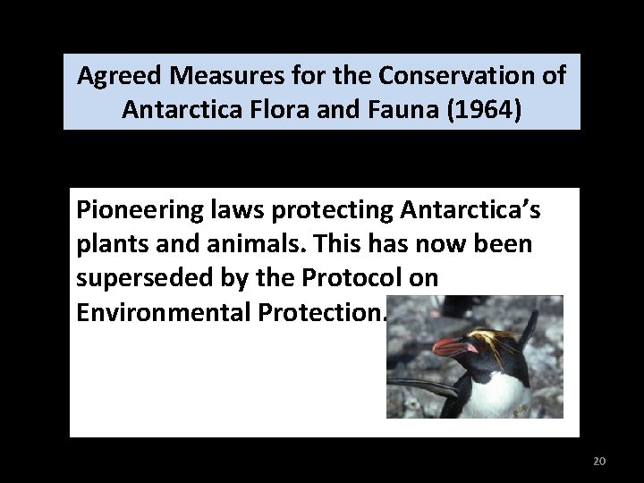 Agreed Measures for the Conservation of Antarctica Flora and Fauna (1964) Pioneering laws protecting