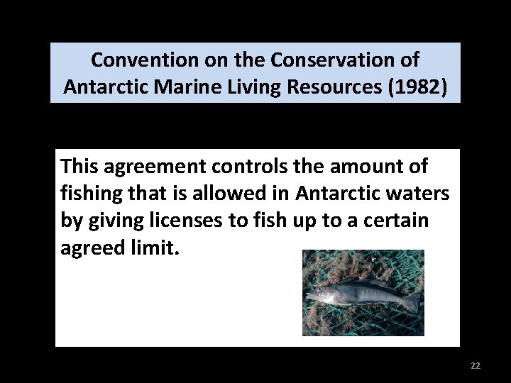 Convention on the Conservation of Antarctic Marine Living Resources (1982) This agreement controls the