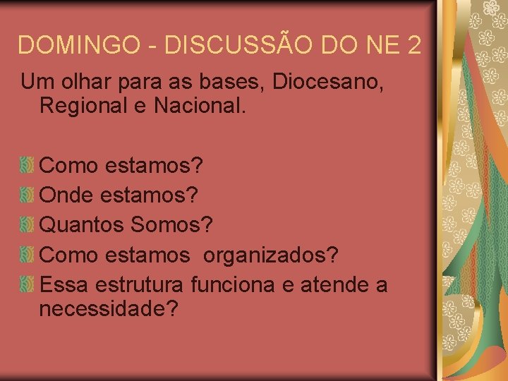 DOMINGO - DISCUSSÃO DO NE 2 Um olhar para as bases, Diocesano, Regional e