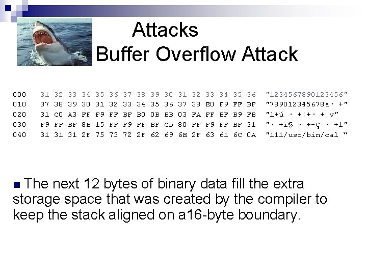 Attacks Buffer Overflow Attack 000 010 020 030 040 31 37 31 F 9