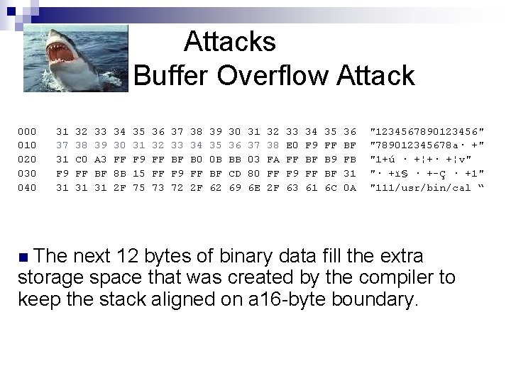 Attacks Buffer Overflow Attack 000 010 020 030 040 31 37 31 F 9